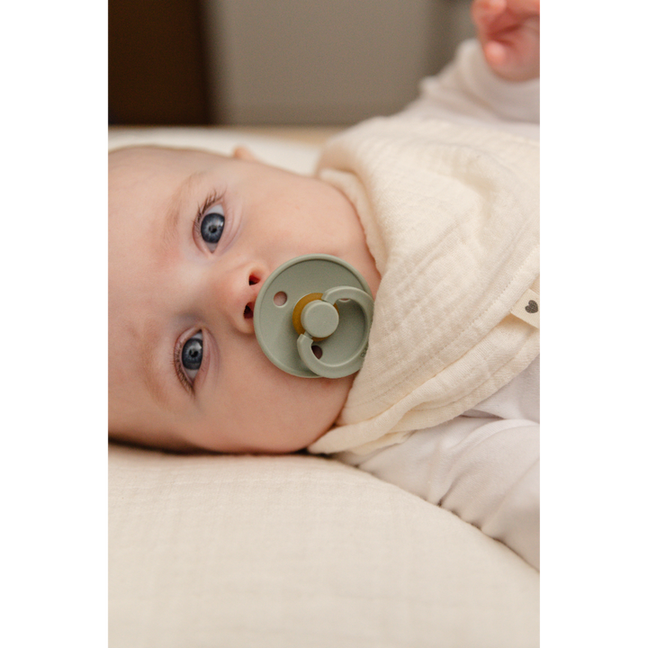 #color_Ivory/Sage
