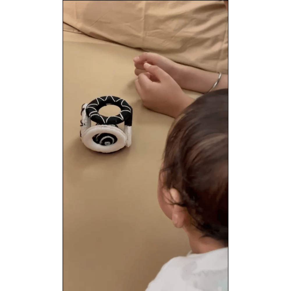 The Play Chapter Grip &amp; Hear Cube Rattle