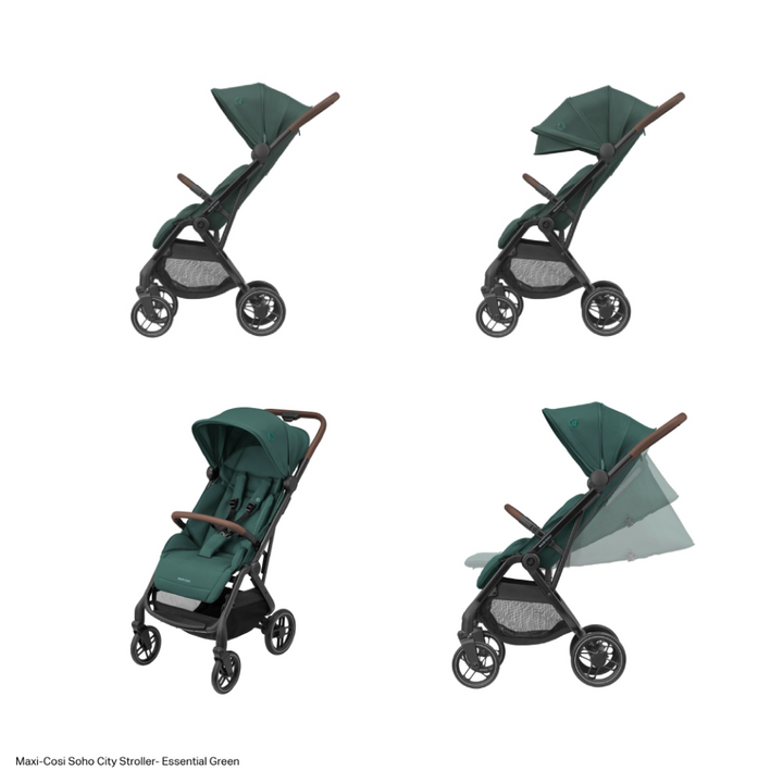 #color_essential-green