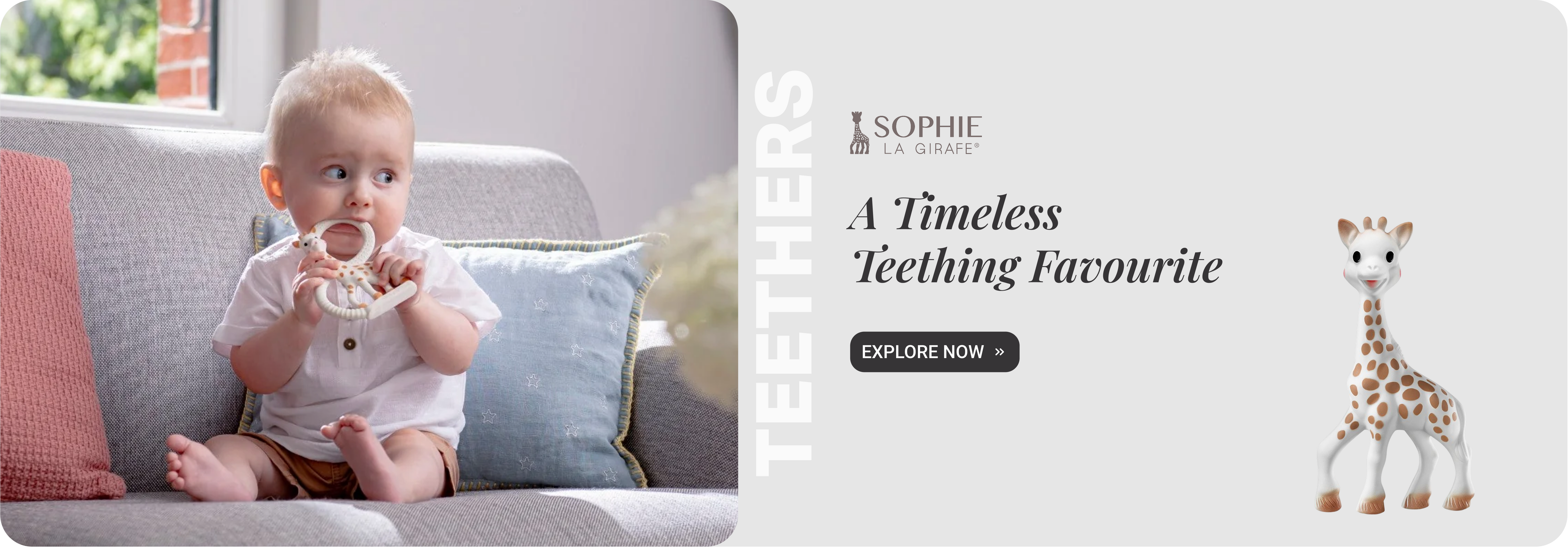 Teethers_Main-Banners_17June26