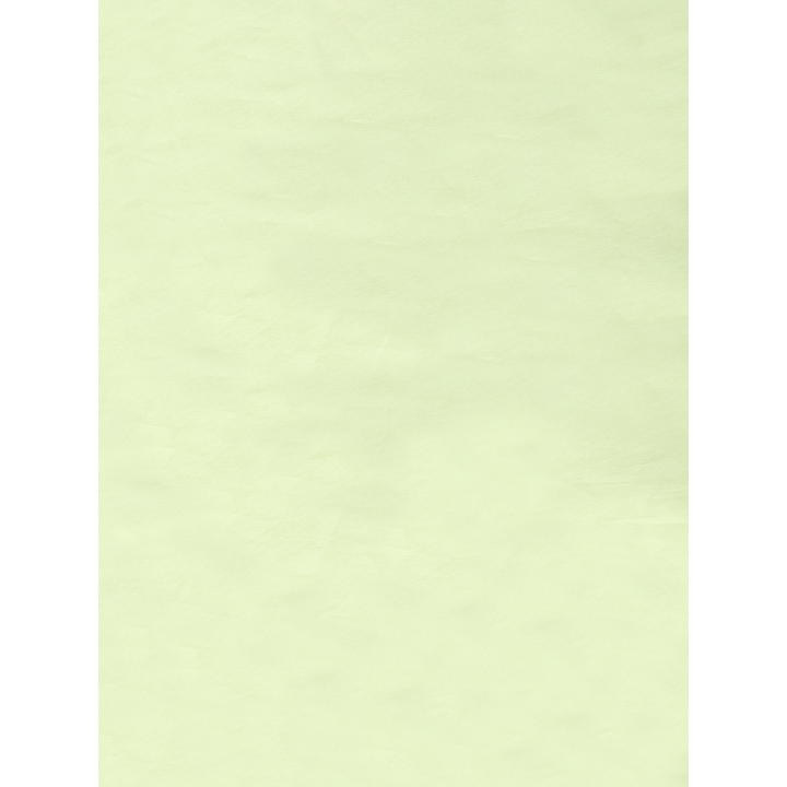 The Baby Atelier Lime Green Organic Sleeves Dress