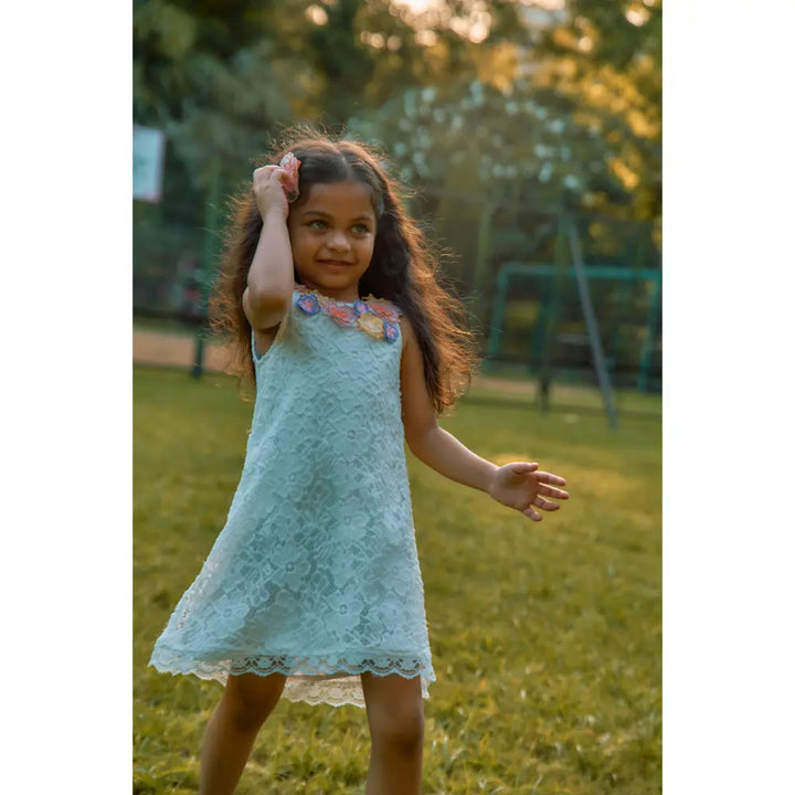 The Baby Trunk - Lace Applique Dress &amp; Flower TicTac For Girls