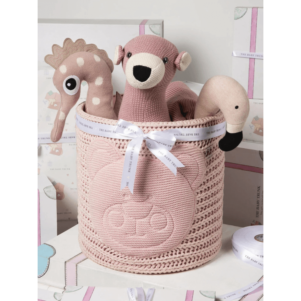 The Baby Trunk Blush Buddies Gift Set (Pack of 4)