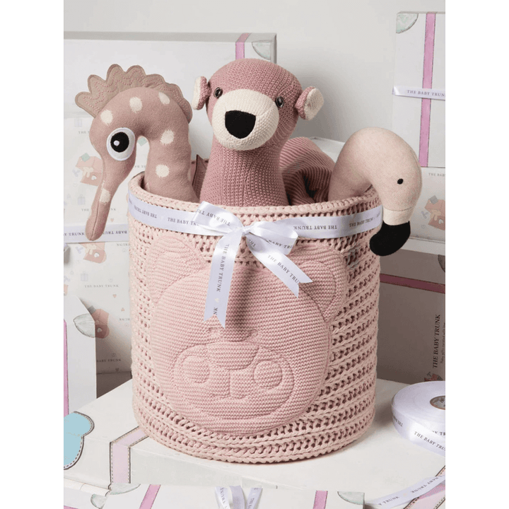 The Baby Trunk Blush Buddies Gift Set (Pack of 4)