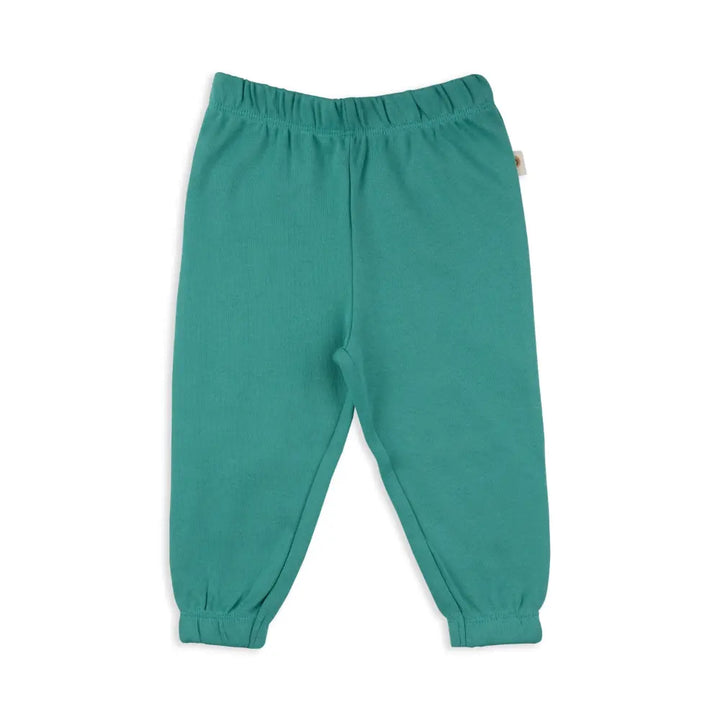 Dulaar Organic Tracksuit Set - Hoppy Froggy