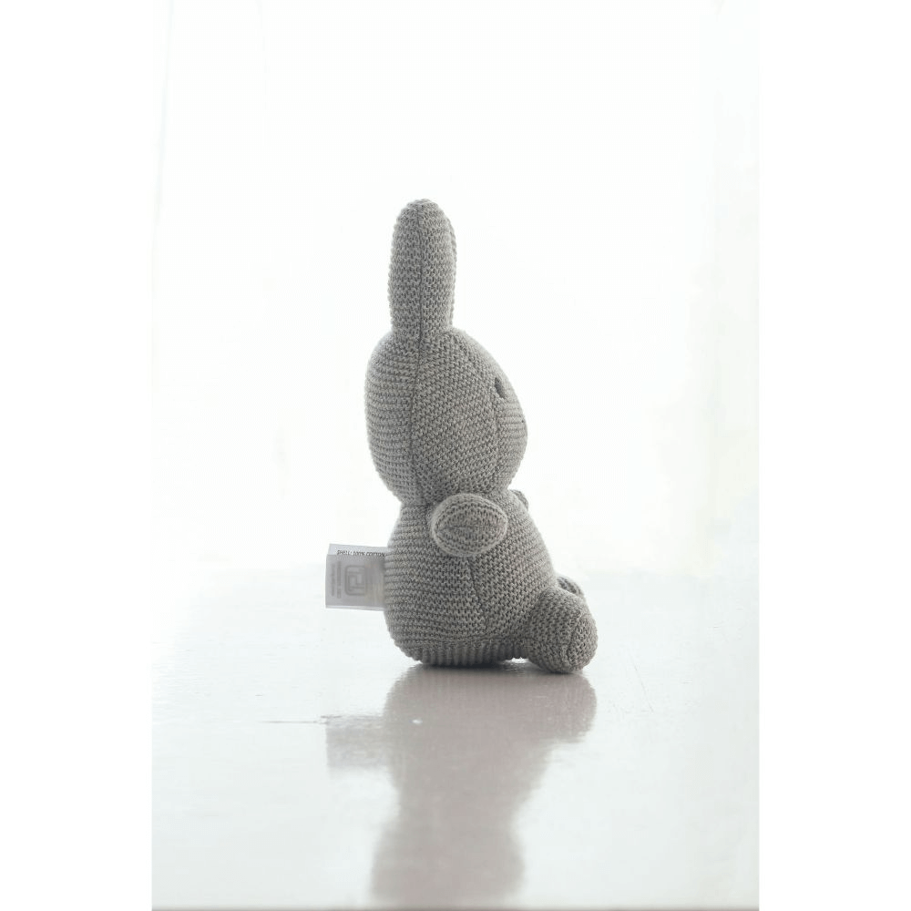 Pluchi Bobby Bunny