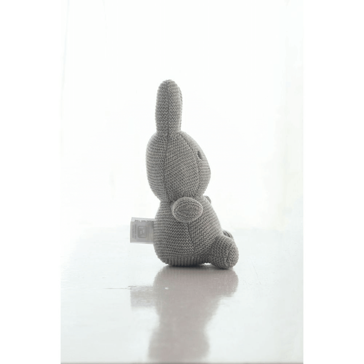 Pluchi Bobby Bunny
