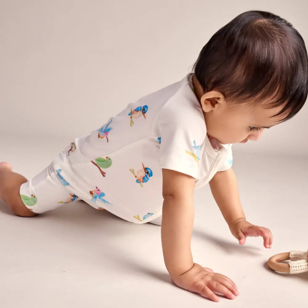 Bubz Shorties Tiny Tweets