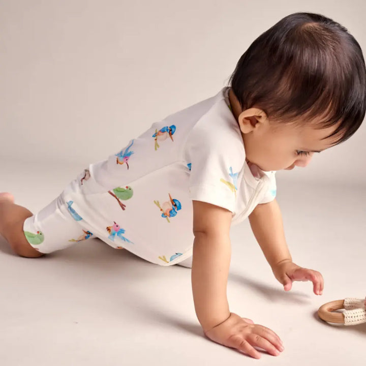 Bubz Shorties Tiny Tweets