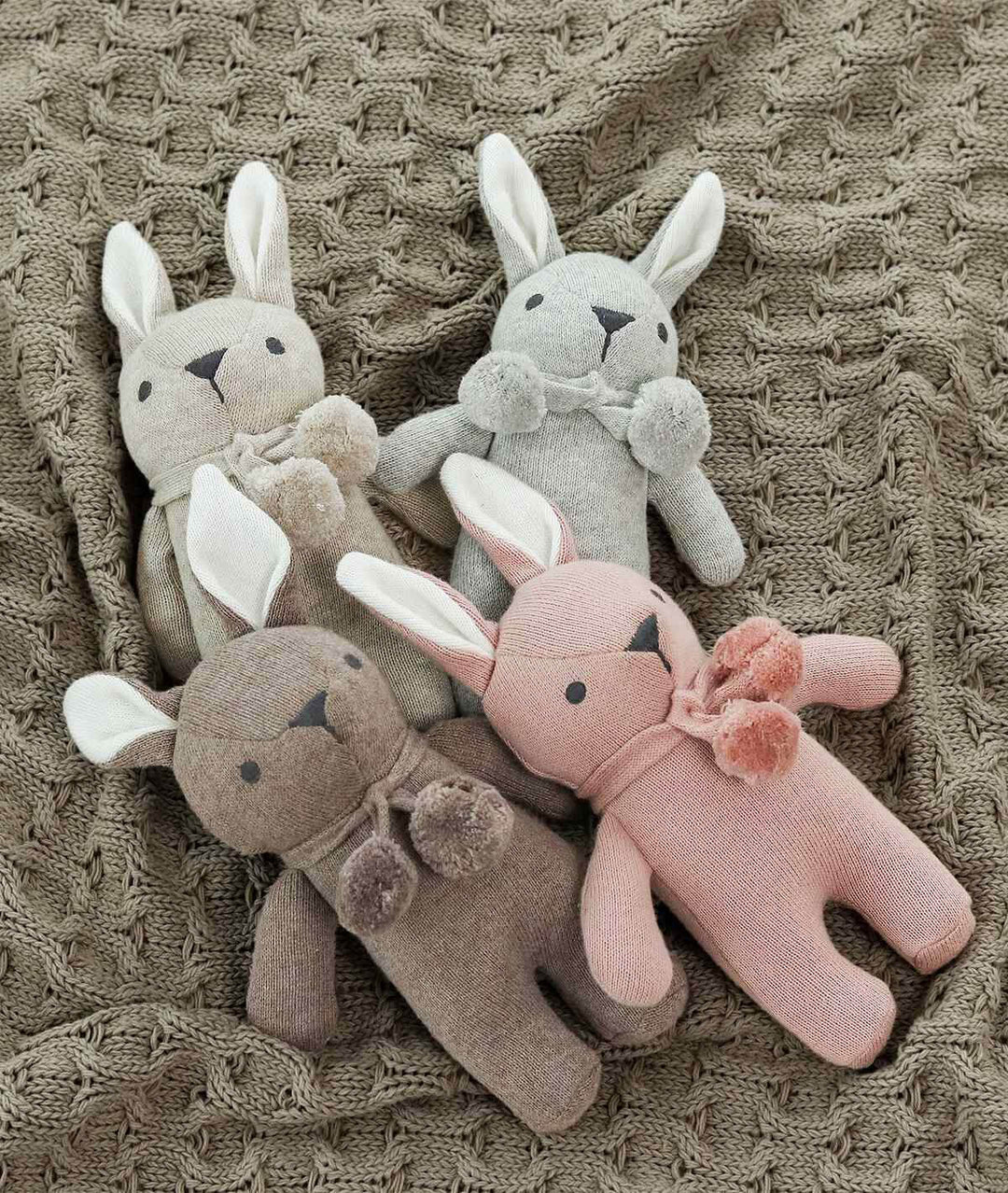 #color_Pluchi-Toto-Bear-Soft-Toy