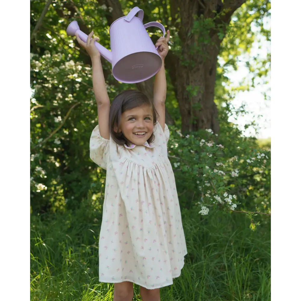 Early Sunday Beth Dress - Butterflies Print
