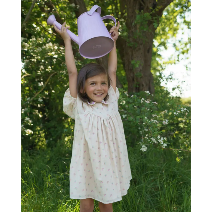 Early Sunday Beth Dress - Butterflies Print