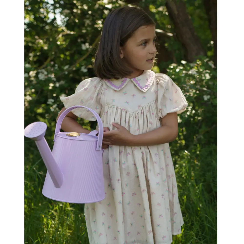 Early Sunday Beth Dress - Butterflies Print