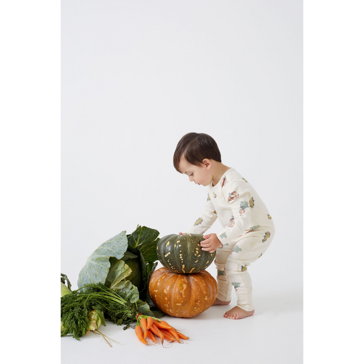 Tiny Twig Long Sleeve Zipsuit - Printed