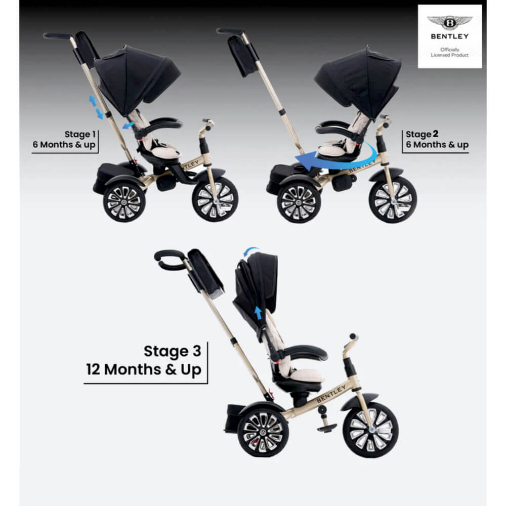 Bentley Mulliner 6-in-1 Baby Stroller - Gold