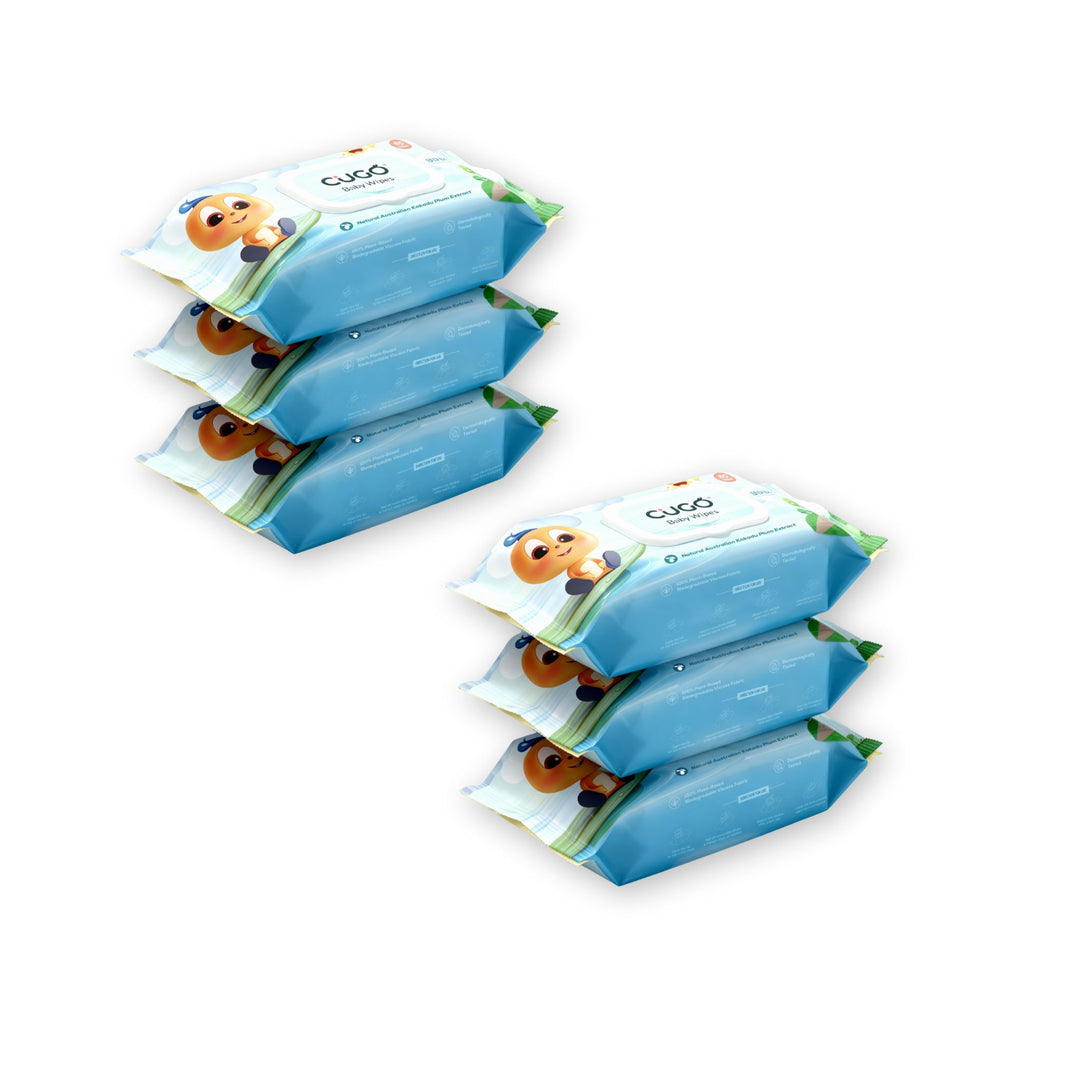 Pack of 6