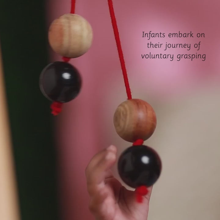 Ariro Wooden Grasping Beads