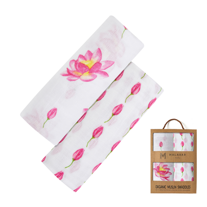 Enchanted Garden Lotus