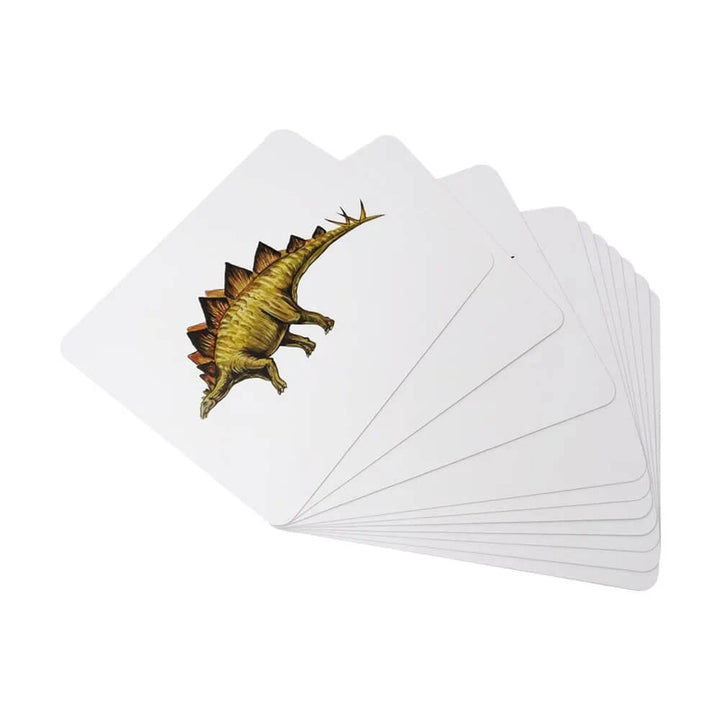 Brainsmith Dinosaurs Quantum Flash Cards