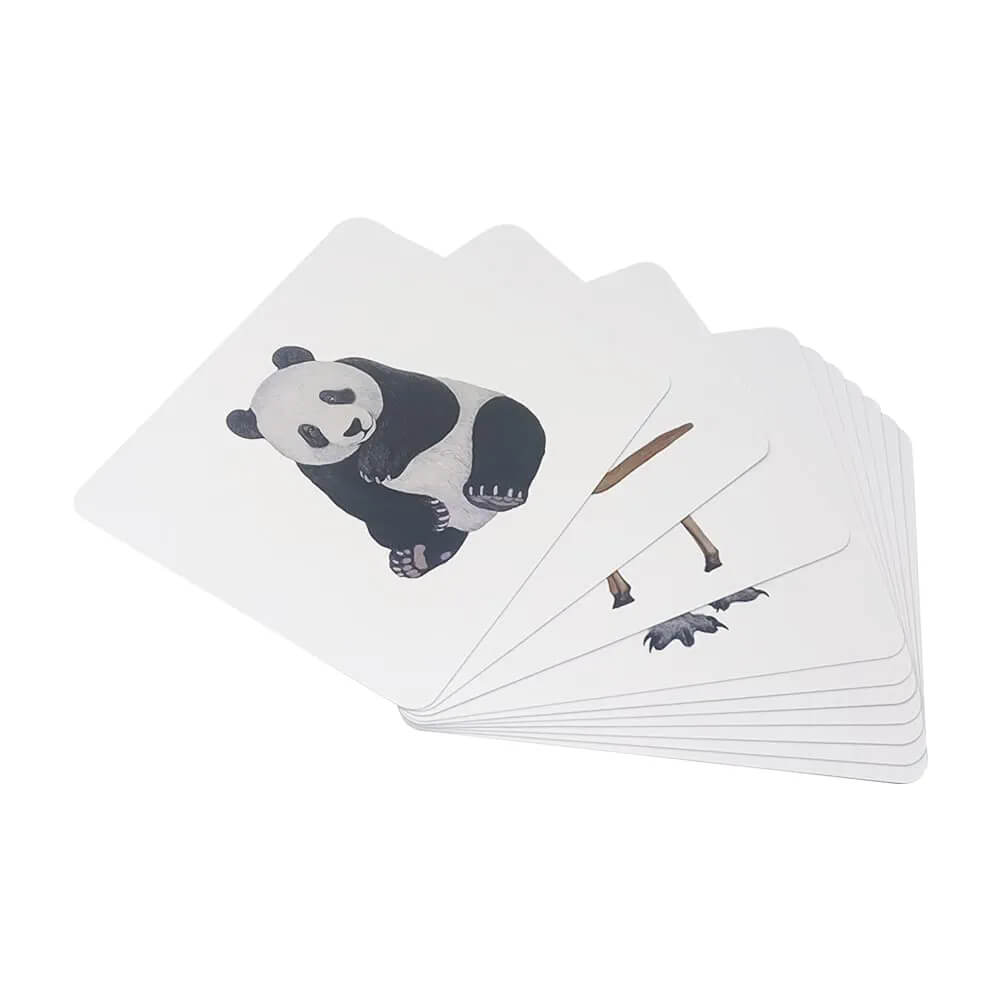 Brainsmith Mammals Quantum Flash Cards