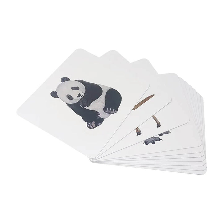Brainsmith Mammals Quantum Flash Cards