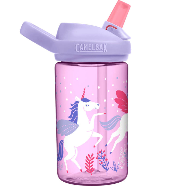 winter pegasus