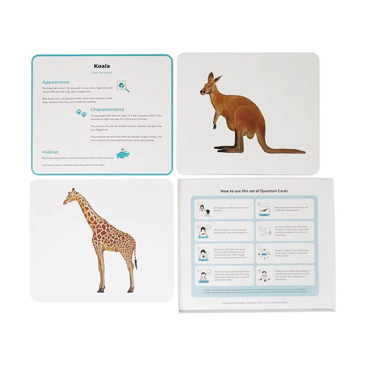 Brainsmith Mammals Quantum Flash Cards