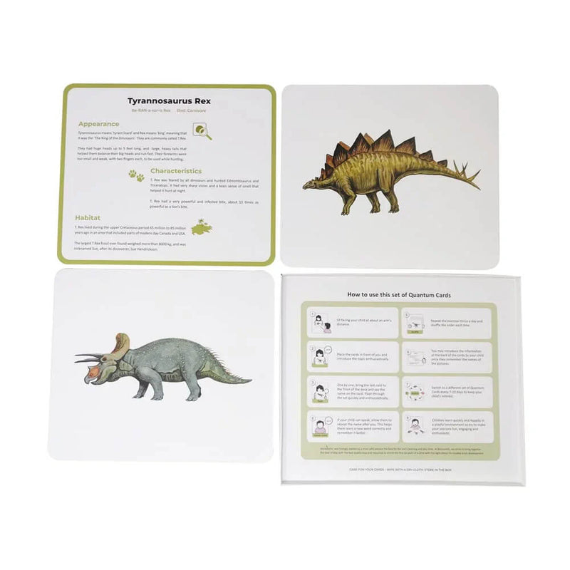 Brainsmith Dinosaurs Quantum Flash Cards