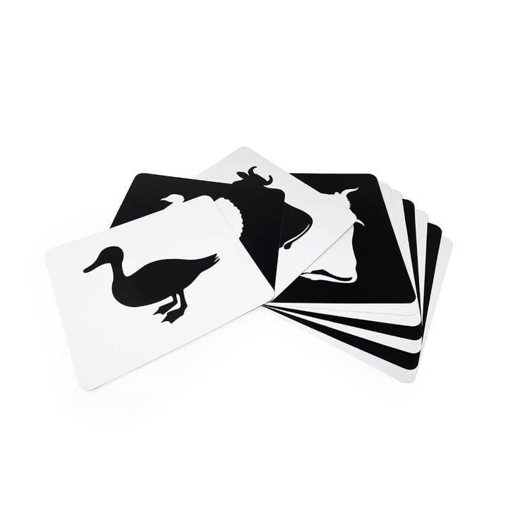 Brainsmith Farm Animals Newborn High Contrast Flash Cards