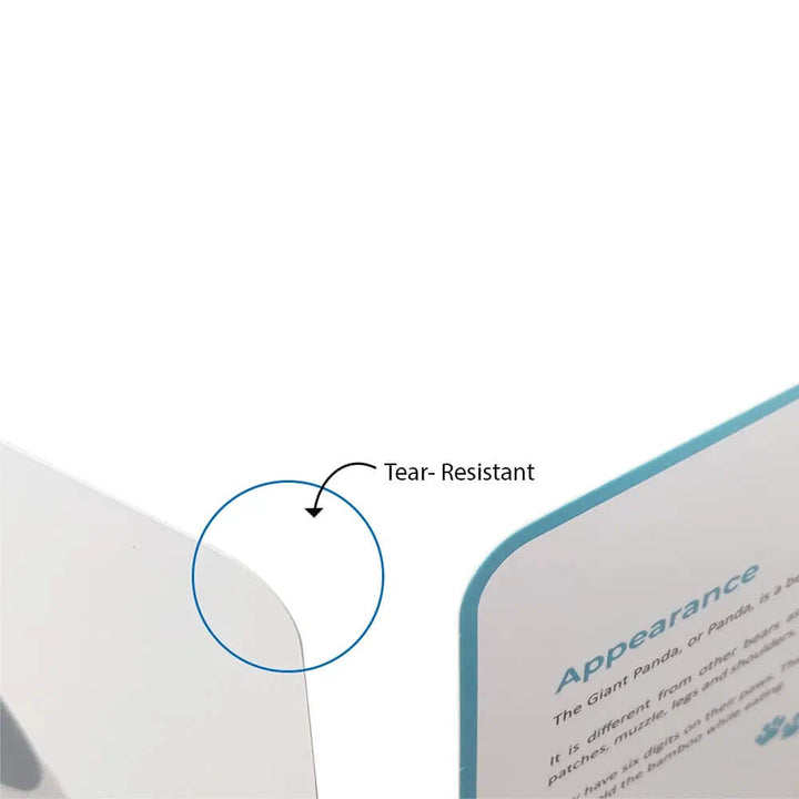 Brainsmith Mammals Quantum Flash Cards
