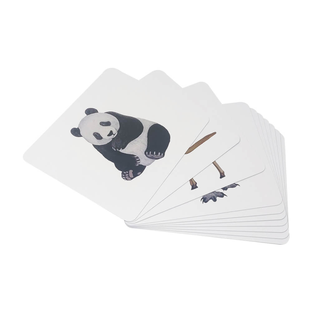 Brainsmith Quantum Cards Kit Set 2
