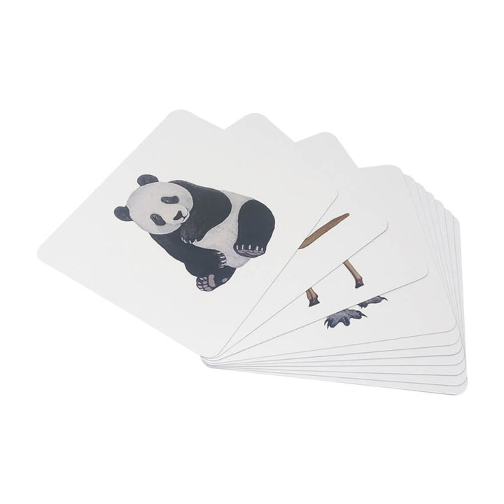 Brainsmith Quantum Cards Kit Set 2