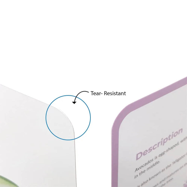 Brainsmith Fruits Quantum Flash Cards