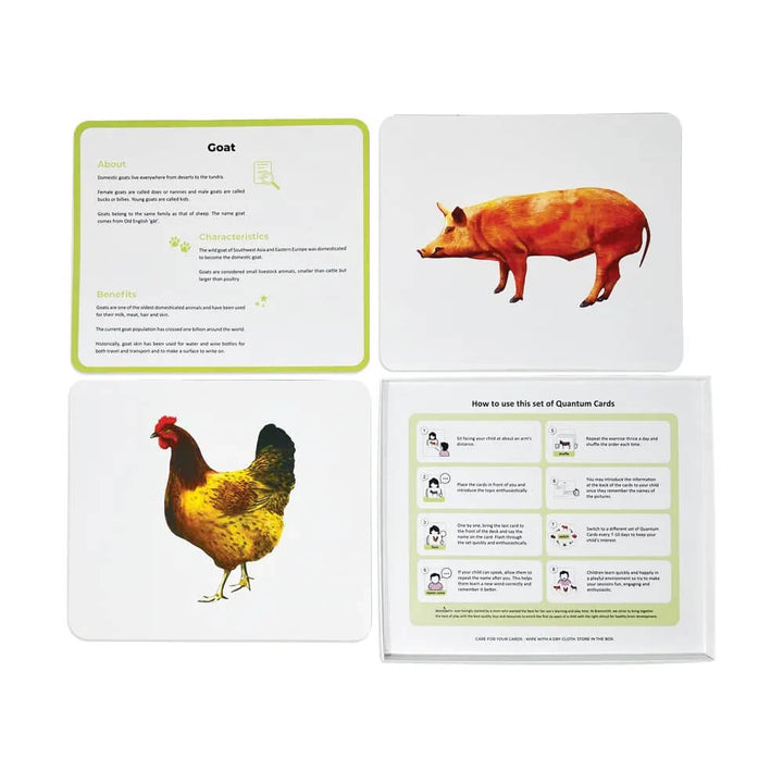 Brainsmith Farm Animals Quantum Flash Cards