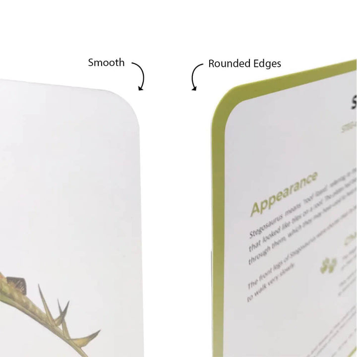 Brainsmith Dinosaurs Quantum Flash Cards