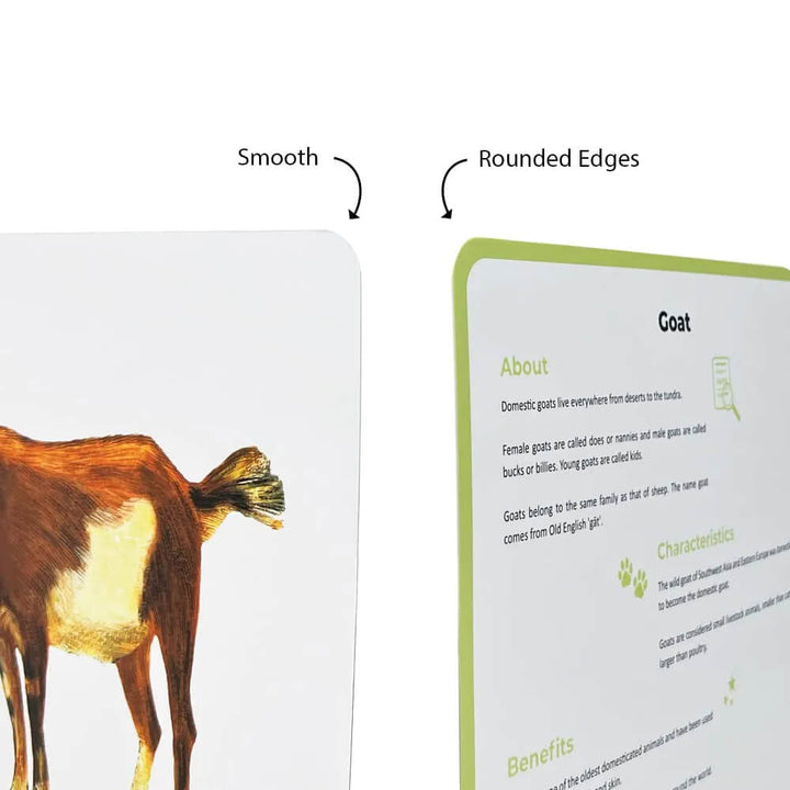 Brainsmith Farm Animals Quantum Flash Cards