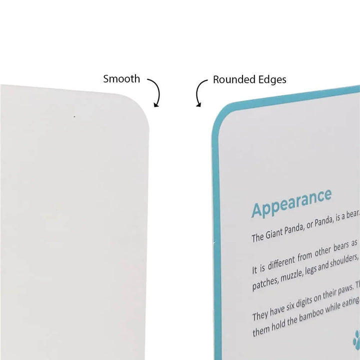 Brainsmith Mammals Quantum Flash Cards