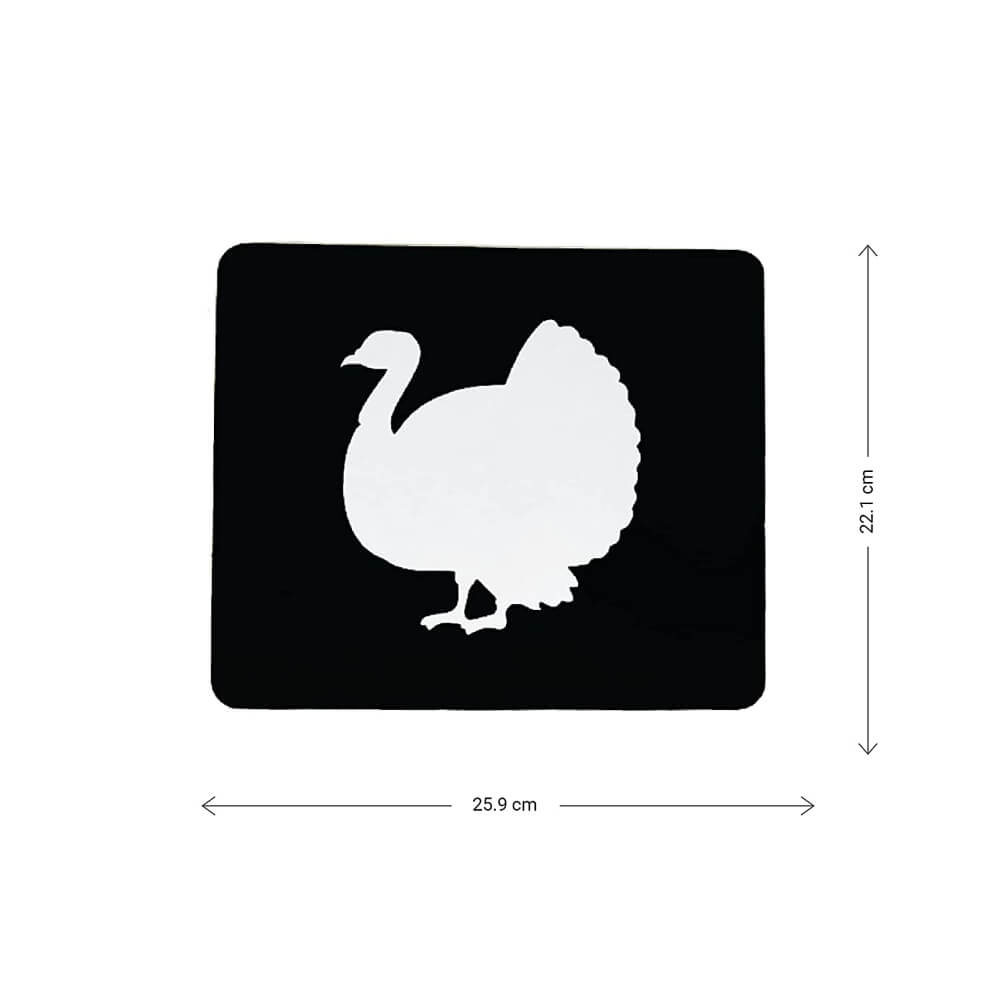Brainsmith Farm Animals Newborn High Contrast Flash Cards
