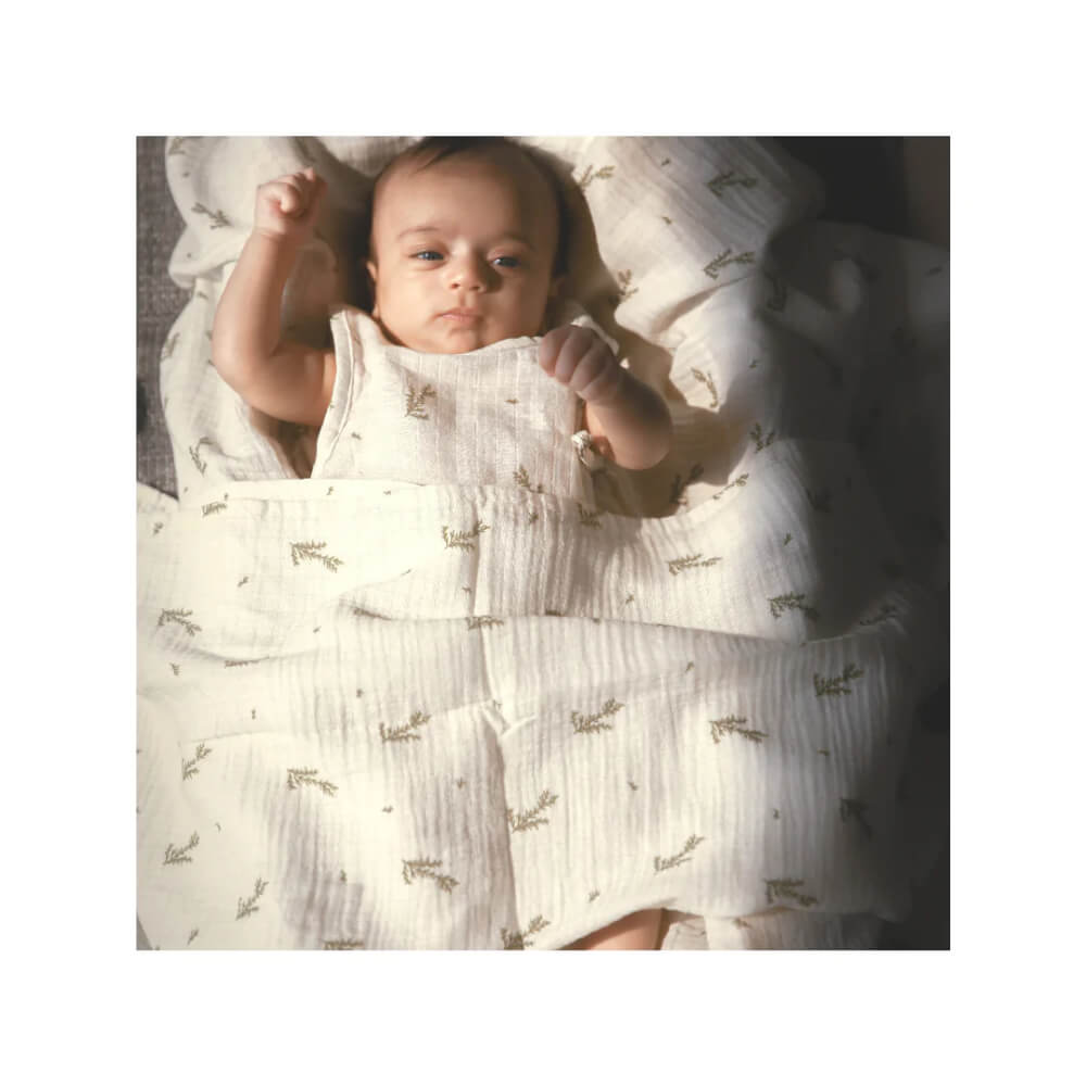 Dulaar Baby's First Milestones! Gift Box Set (6-12 Months)