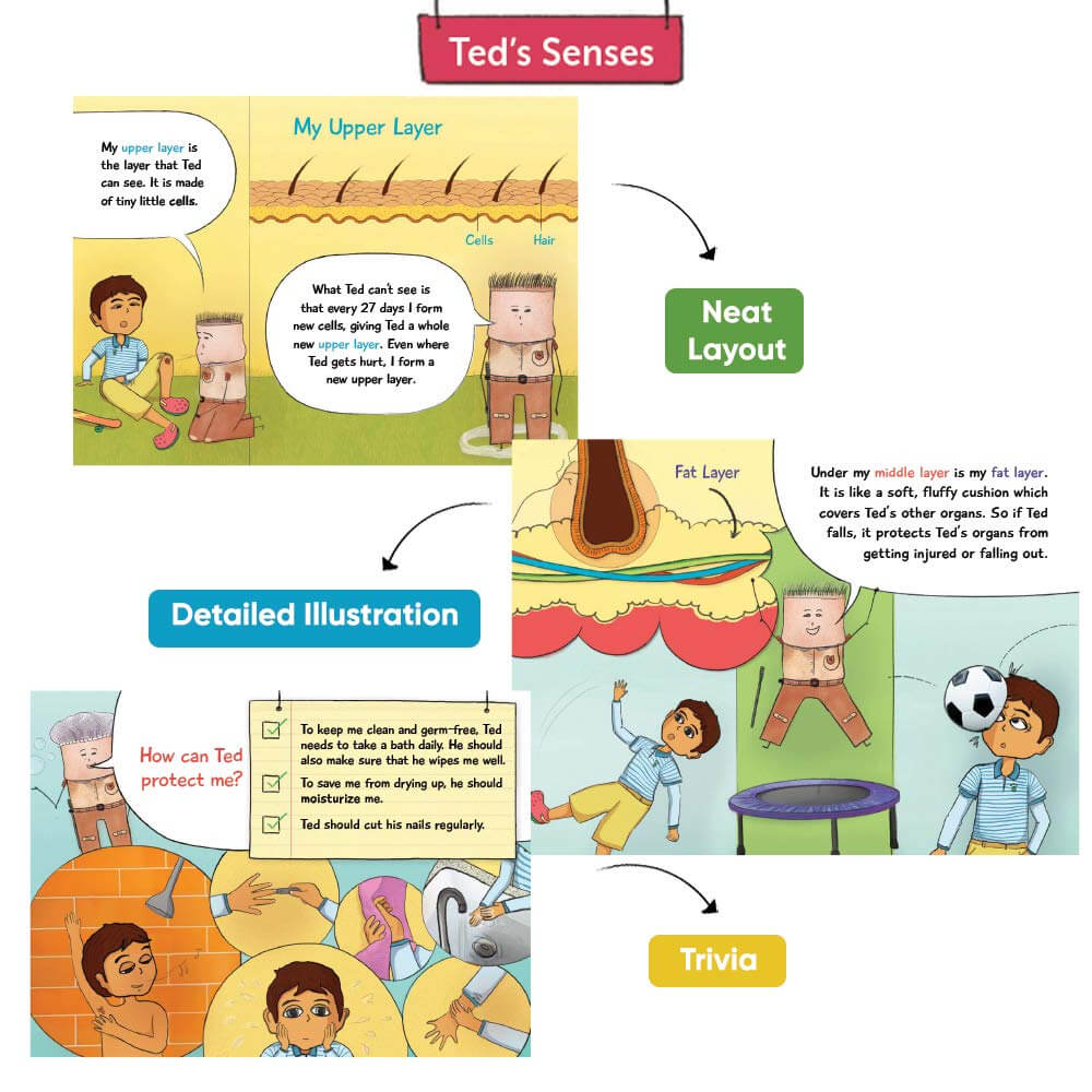 Brainsmith Ted's Senses - Set of 5 Illustrative Storybooks