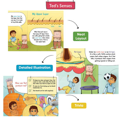 Ted's Senses - Set of 5 Illustrative Storybooks