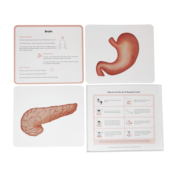 Brainsmith Quantum Cards Kit Set 3