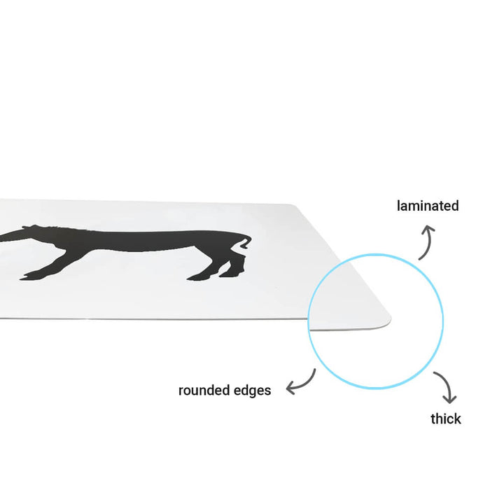 Brainsmith Farm Animals Newborn High Contrast Flash Cards