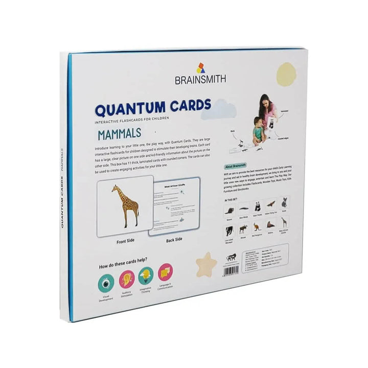 Brainsmith Mammals Quantum Flash Cards