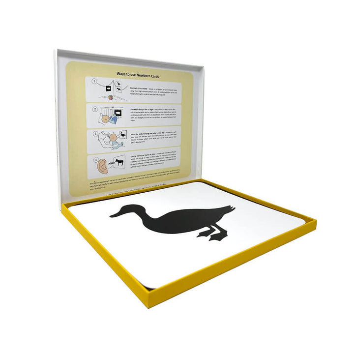 Brainsmith Farm Animals Newborn High Contrast Flash Cards