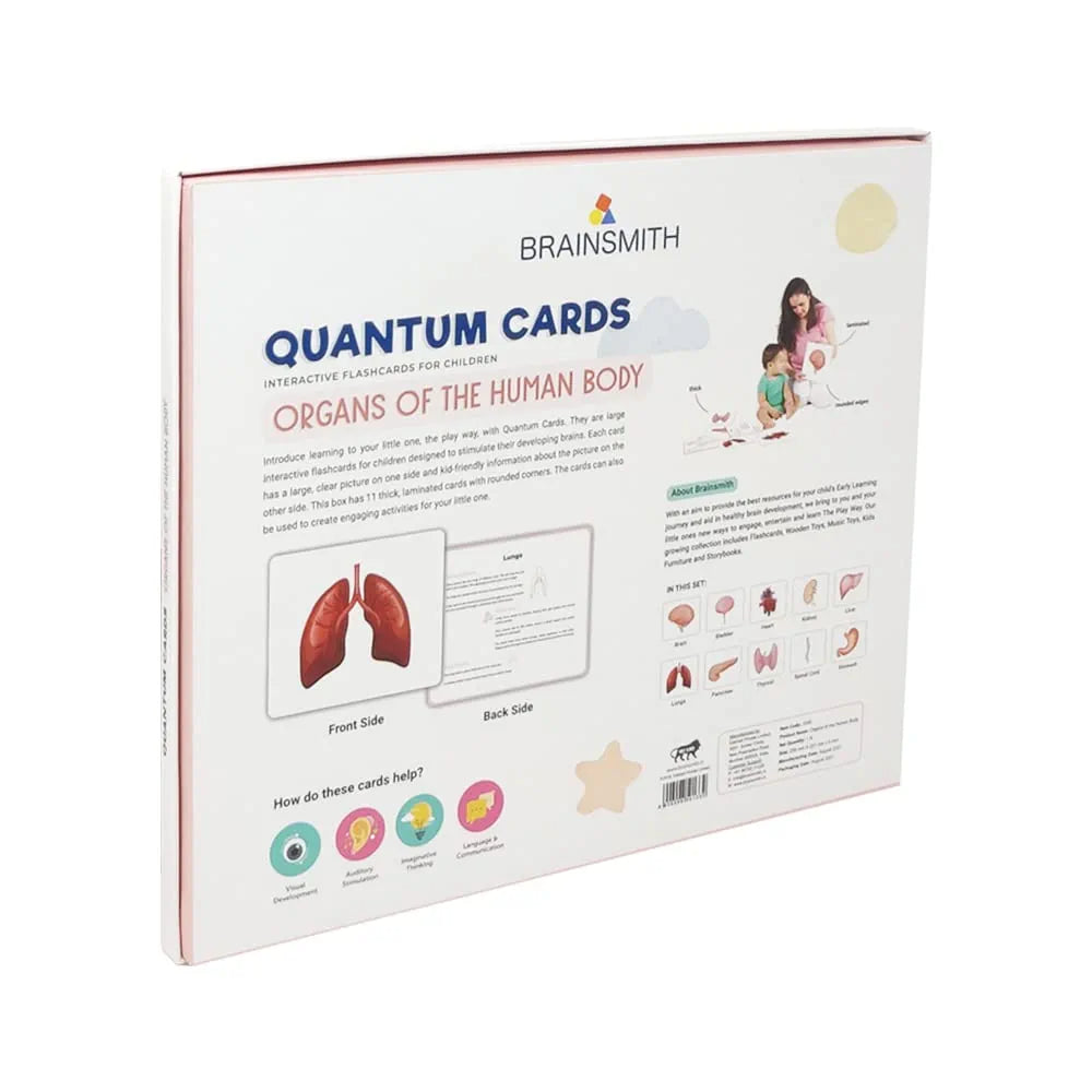 Brainsmith Organs of the Human Body Quantum Flash Cards