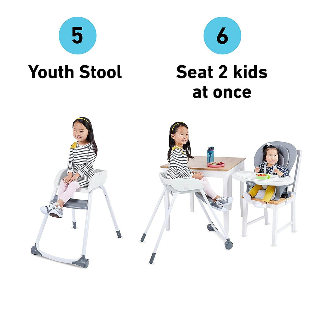 Graco Made2Grow 6 in 1 High Chair, Tasha