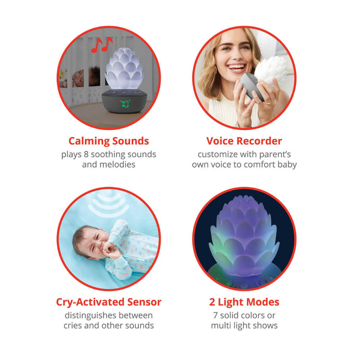 Skip Hop Terra Cry-Activated Soother