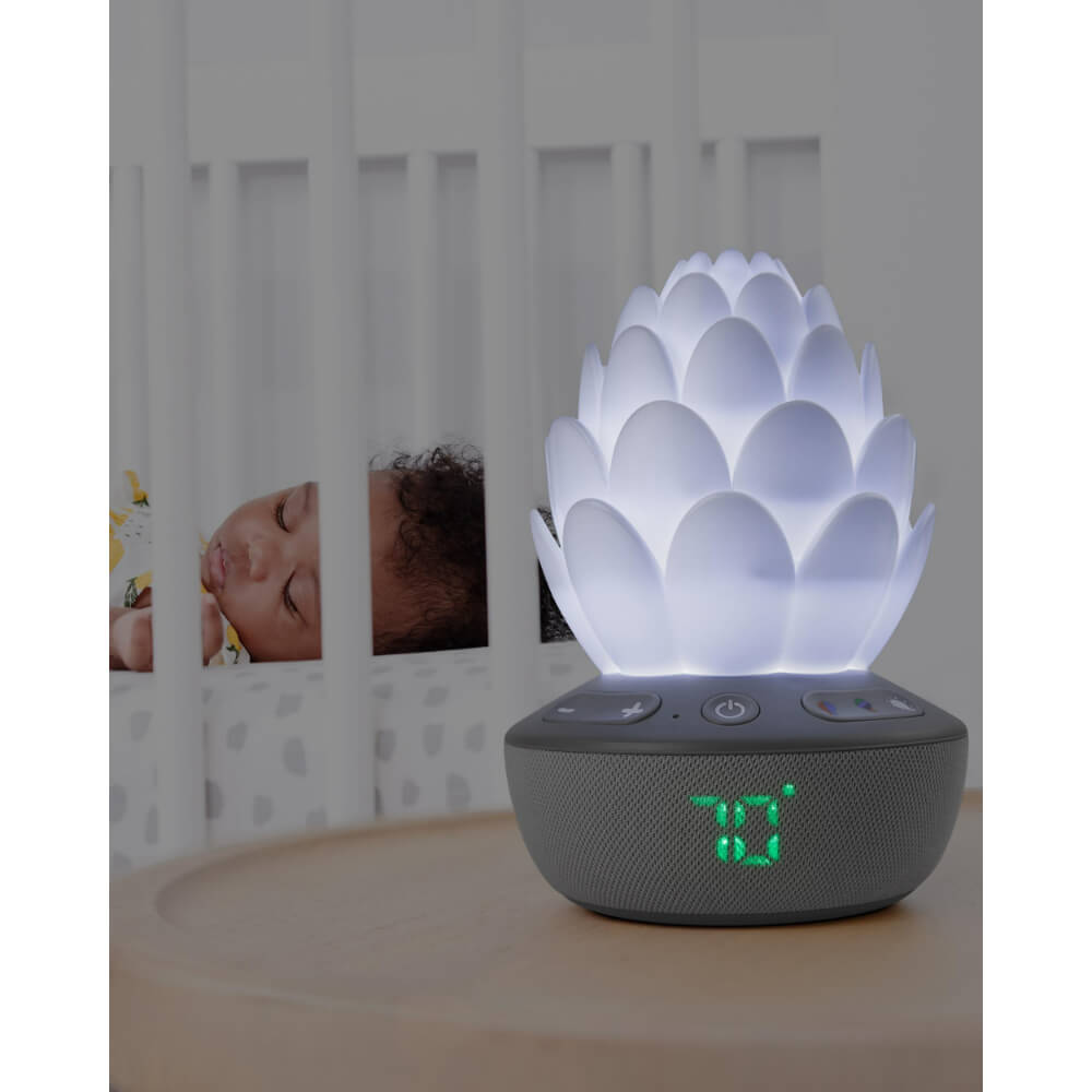 Skip Hop Terra Cry-Activated Soother