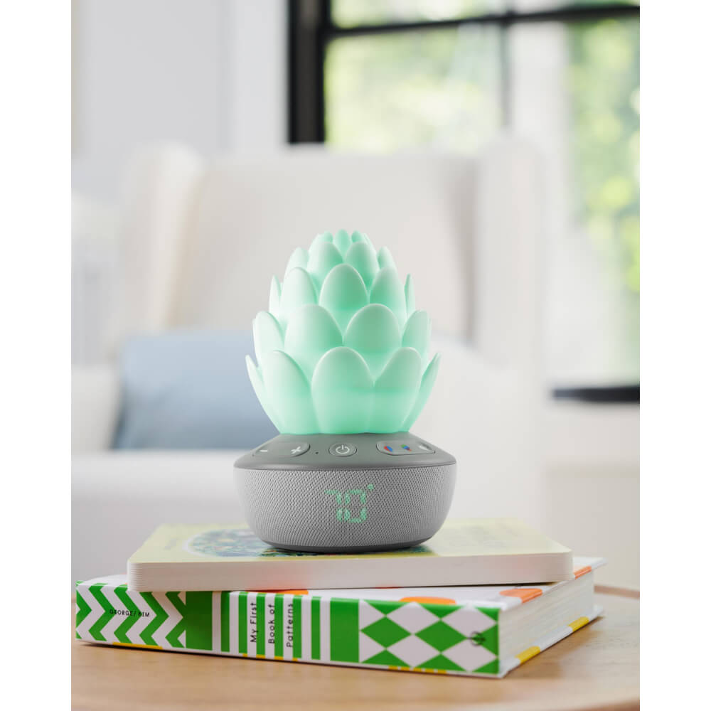 Skip Hop Terra Cry-Activated Soother